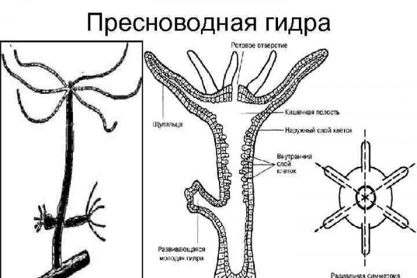 Омг 2024