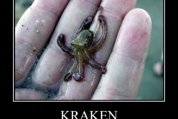 Кракен ссылка рабочая анион kraken6.at kraken7.at kraken8.at